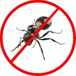 Ant Control Service