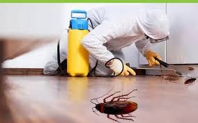 Cockroach Control Service