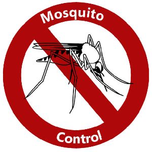 Rodent Control Service