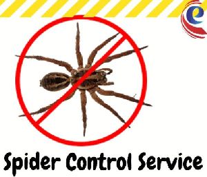 Spider Control Services
