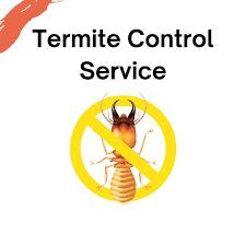 Termite Control Service