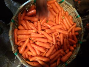Ooty Fresh Carrot