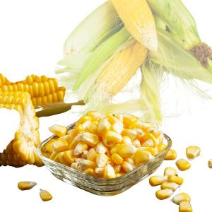 maize, Shape : Round, Packaging Size : 1Kg, 5Kg, 10kg