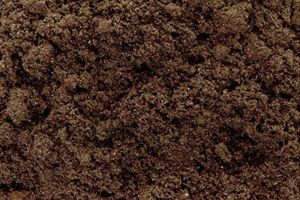 cow dung powder