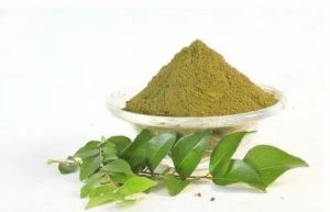Curry Leaves Powder