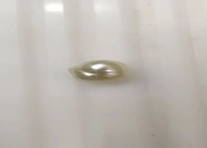 Natural Basra Pearl