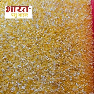 Corn Grit Cattle Feed