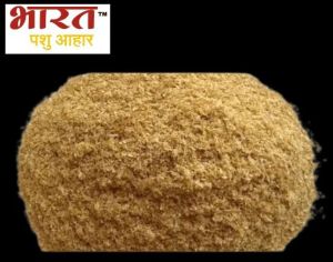 Maize Co-Feed, Color : Yellow