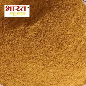 Maize Gluten Cattle Feed, Color : Yellow