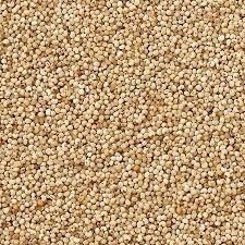 Natural Khaskhas Posta Dana, Color : White for Cooking