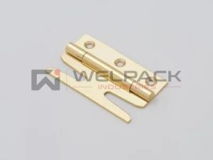 Brass Simplex Hinges