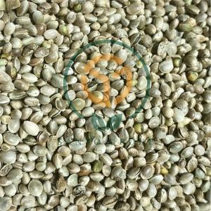 Common Hemp Seeds, Color : Yellow Mustard, Packaging Type : PP Bag