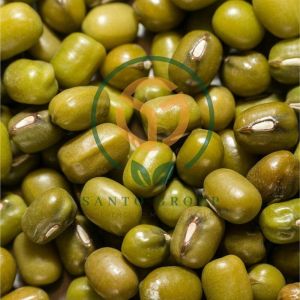 ​​moong (Green Gram)