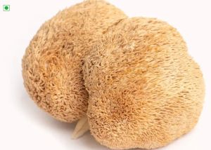 Dried Lions Mane Mushroom