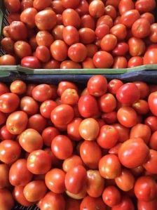 fresh tomato, Cultivation Type : Natural Red for Cooking, Food