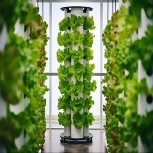 Medicinal plants& Seed