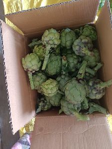 Artichoke
