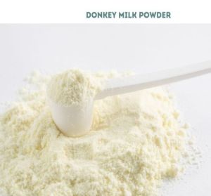 Spray Dried Donkey Milk Powder, Color : White