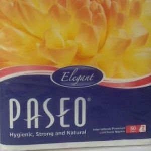 Paseo 9X9 Elegant 2 Ply Tissue Paper Napkins