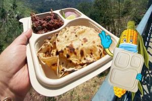 Windsor 3 CP Cornstarch Meal Tray