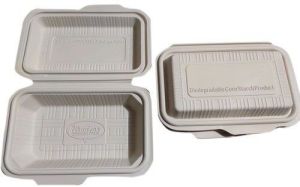 Windsor 600 Ml Cornstarch Clamshell Box
