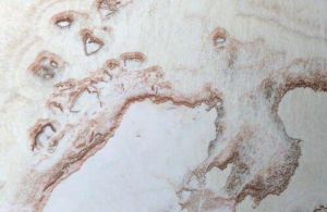 Onyx Zebra Marble for Flooring, Countertops