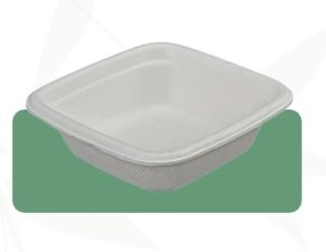 4 Square Bagasse Bowl