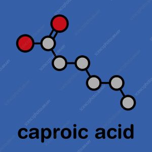 Caproic Acid