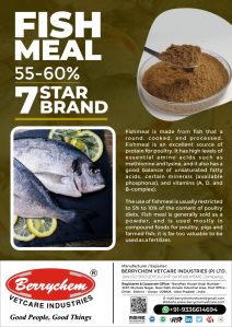 Fish Meal ( 7 Star Brand )