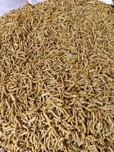 Dried Turmeric Finger