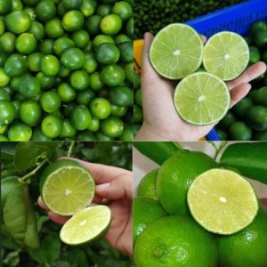  Natural Seedless Lemon, Packaging Type : Green