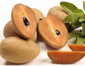 A Grade Fresh Chiku, Taste : Sweet, Packaging Type : Tray Pack