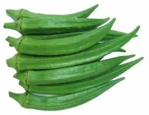 A Grade Fresh Okra Lady Finger