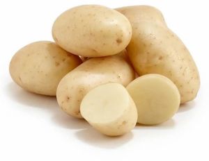 A Grade Fresh Potato, Packaging Type : Sack for Multipurpose Cooking