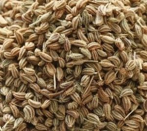 Ajwain Seeds, Color : Light Brown, Packaging Type : LDPE Pouch