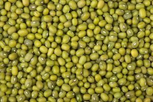 Green Mung Bean
