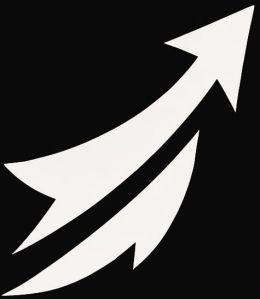 Online Auctions Services