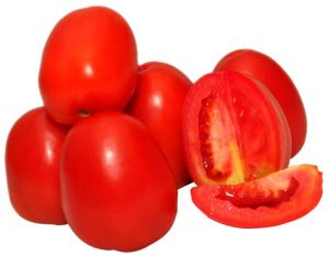 fresh tomato