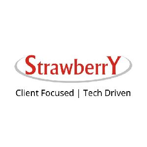 Strawberry Infotech Expert Staffing Solutions