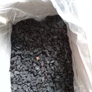 Black Raisins