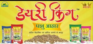 Dairy King Cattle Feeds