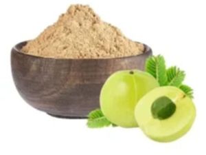Amla Powder, Color : Light Green, Grade : Medicinal Grade