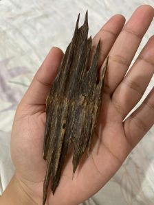 Agarwood Chip