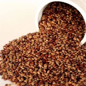 Brown Organic Horse Gram, Packaging Size : 50Kg