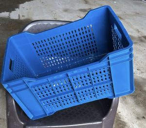 semi-fresh Fruits Vegetables Crate