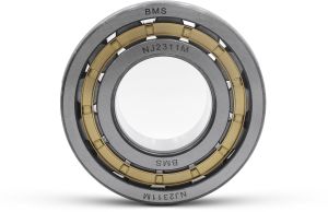 Chrome Steel BMS Cylinder Roller Bearing, Bore Size : Multi Sizes