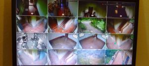 IP Camera Installation