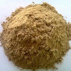 Psyllium Industrial Powder