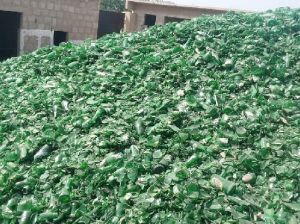 Glass Cullet Green