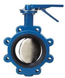 Butterfly Valve